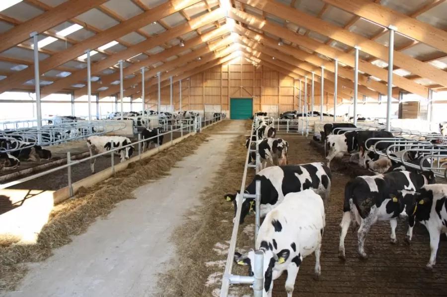 Вопросы из чатов: есть ли предел, сколько охот можно пропустить у телки?