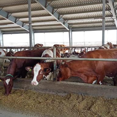 Партнеры об «Августе»