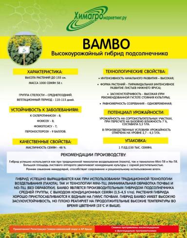 Бамбо