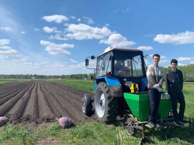 Названы финалисты «Картофельного БУМа»!