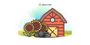 Хранение подсолнечника