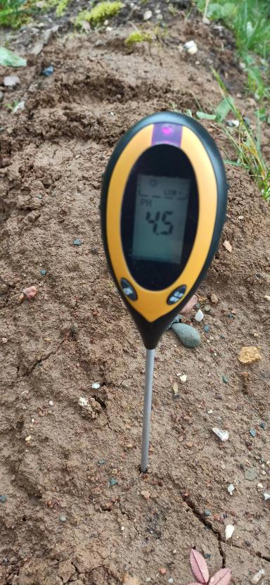 Кислотность почвы.