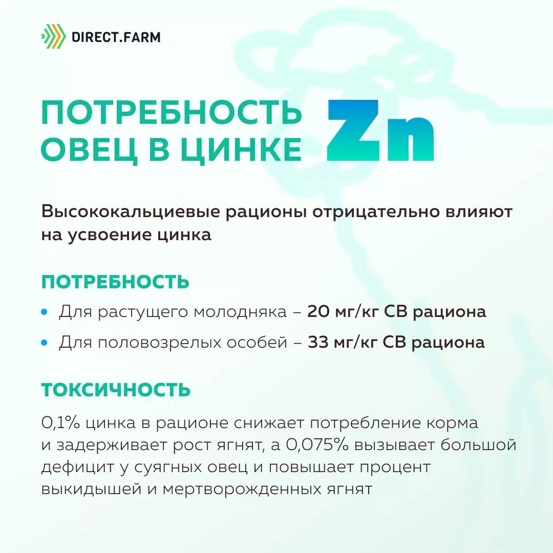Потребность овец в цинке