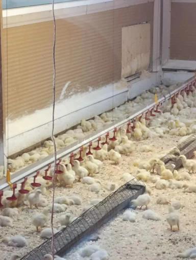 Поддержим словом, поможем делом