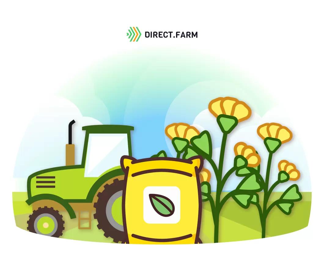 Весеннее усиление вегетации люцерны 3-го года