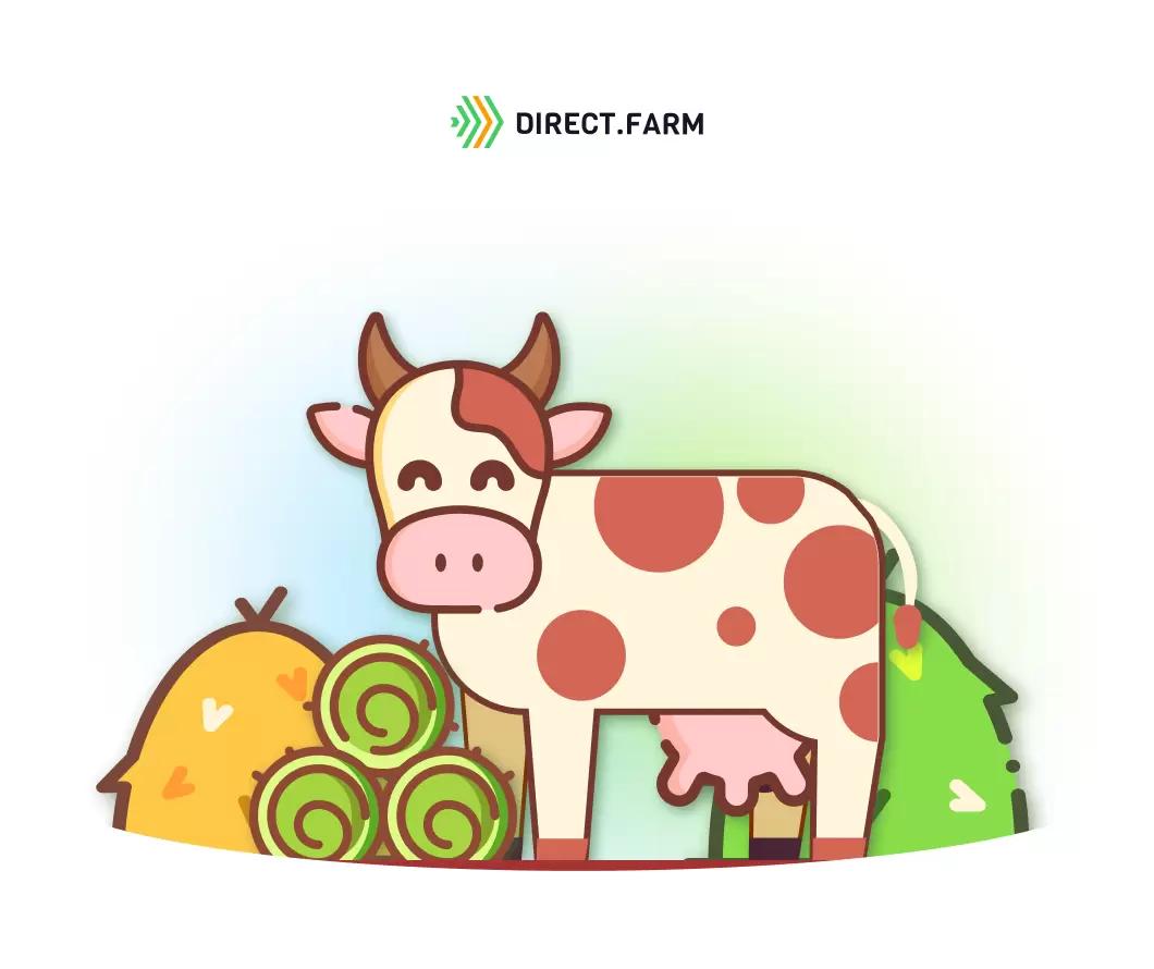 Роль ЛЖК в пищеварении коров