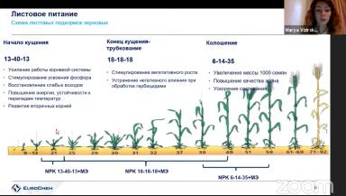 Азотное питание и листовые подкормки