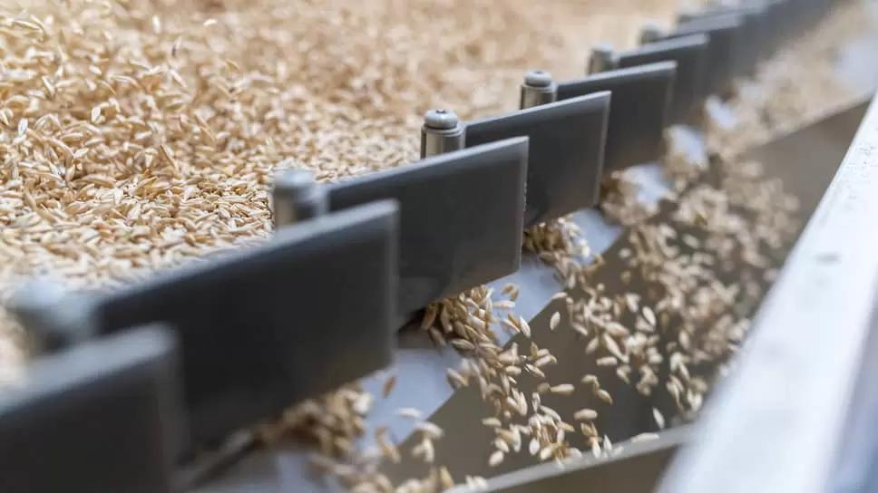 Российский зерновой союз просит Путина заменить пошлину квотой на экспорт зерна