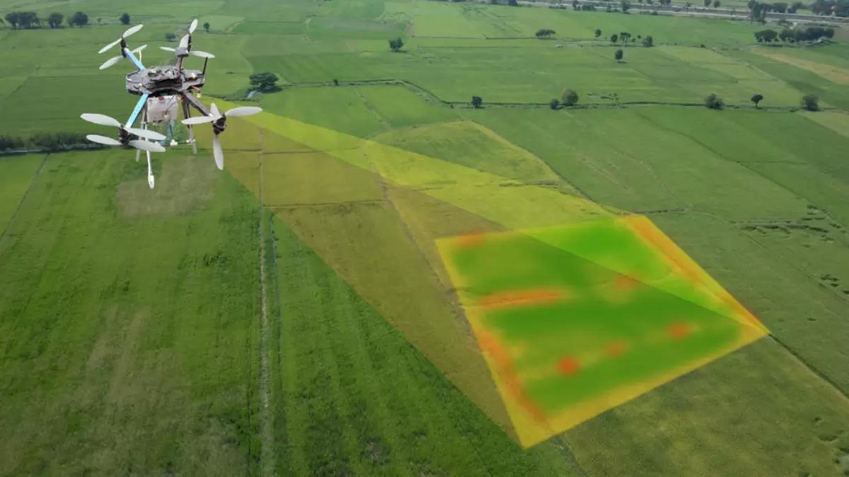 Агродроны начнут системно применять в сельском хозяйстве с 2024 года