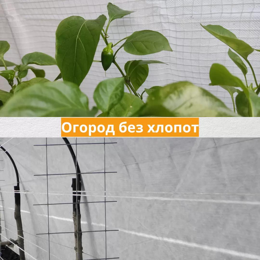 Огород без хлопот