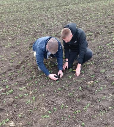 Агросопровождение на всех этапах