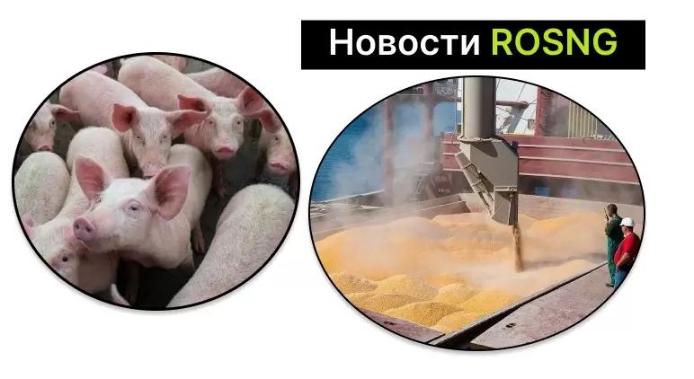 Дайджест новостей за 14 июля