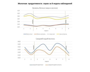Испытание функциональной кормовой смеси РАМ на дойных коровах