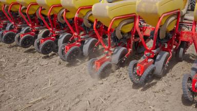 Оптимизация участков гибридизации при выращивании семенного материала c Trimble