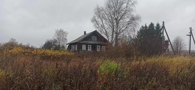 В поисках земли.