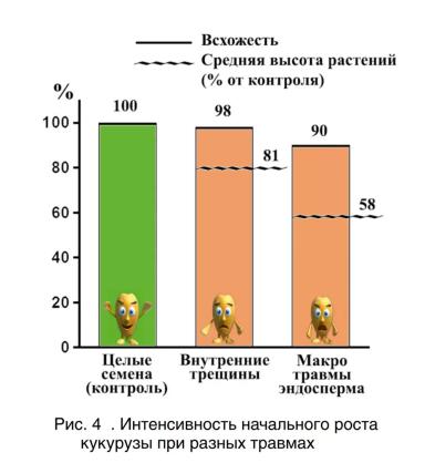 Влияние травмирования семян на их посевные качества