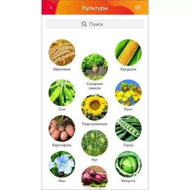 Обновленное приложение «Августа»