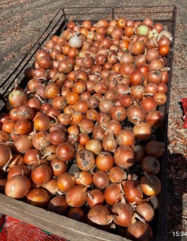 Фуролан как элиситор