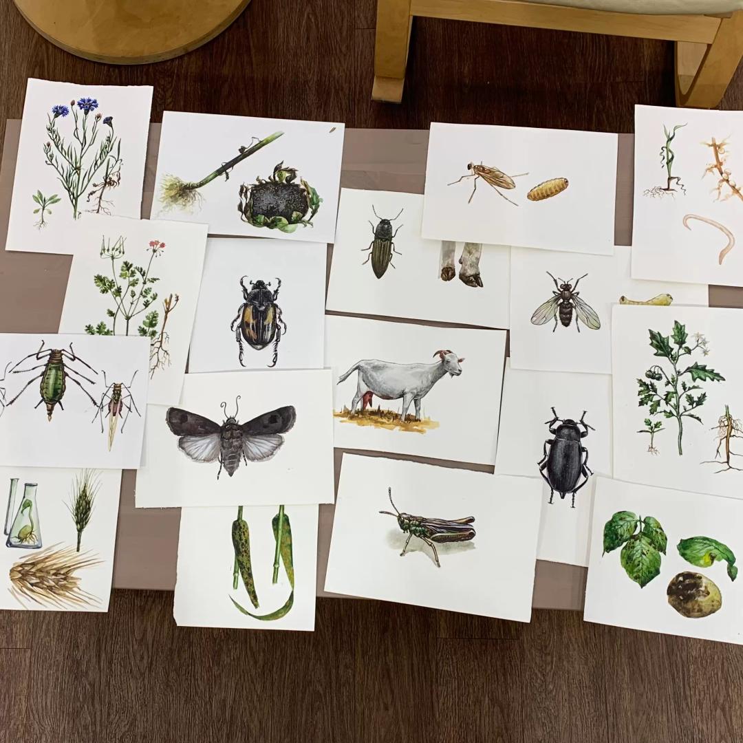 Офис Direct.Farm, иллюстрации для Базы Знаний