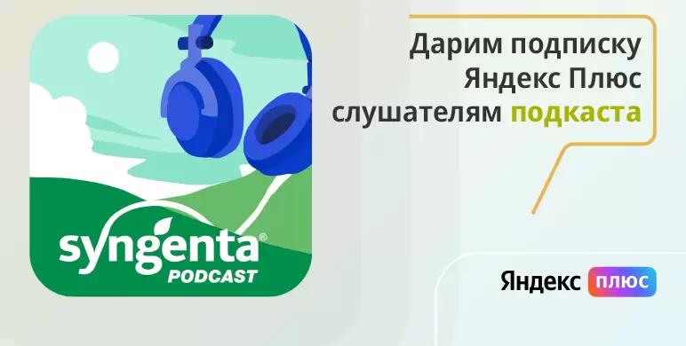 В плюсе с подкастом «Сингенты»