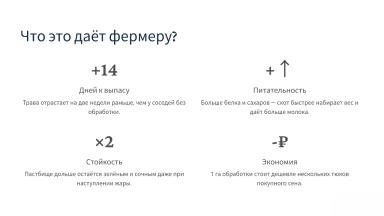«Зелёный взрыв» для пастбищ Калмыкии