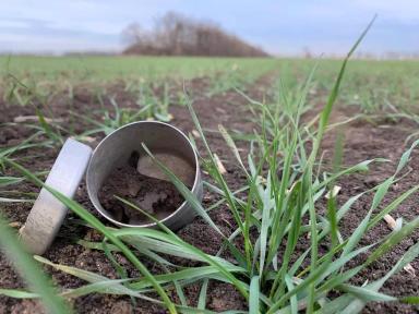 Полевой эксперимент Direct Farm. Определение азота в почве