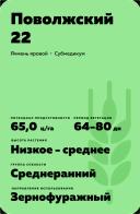 Поволжский 22 сорт ячменя ярового