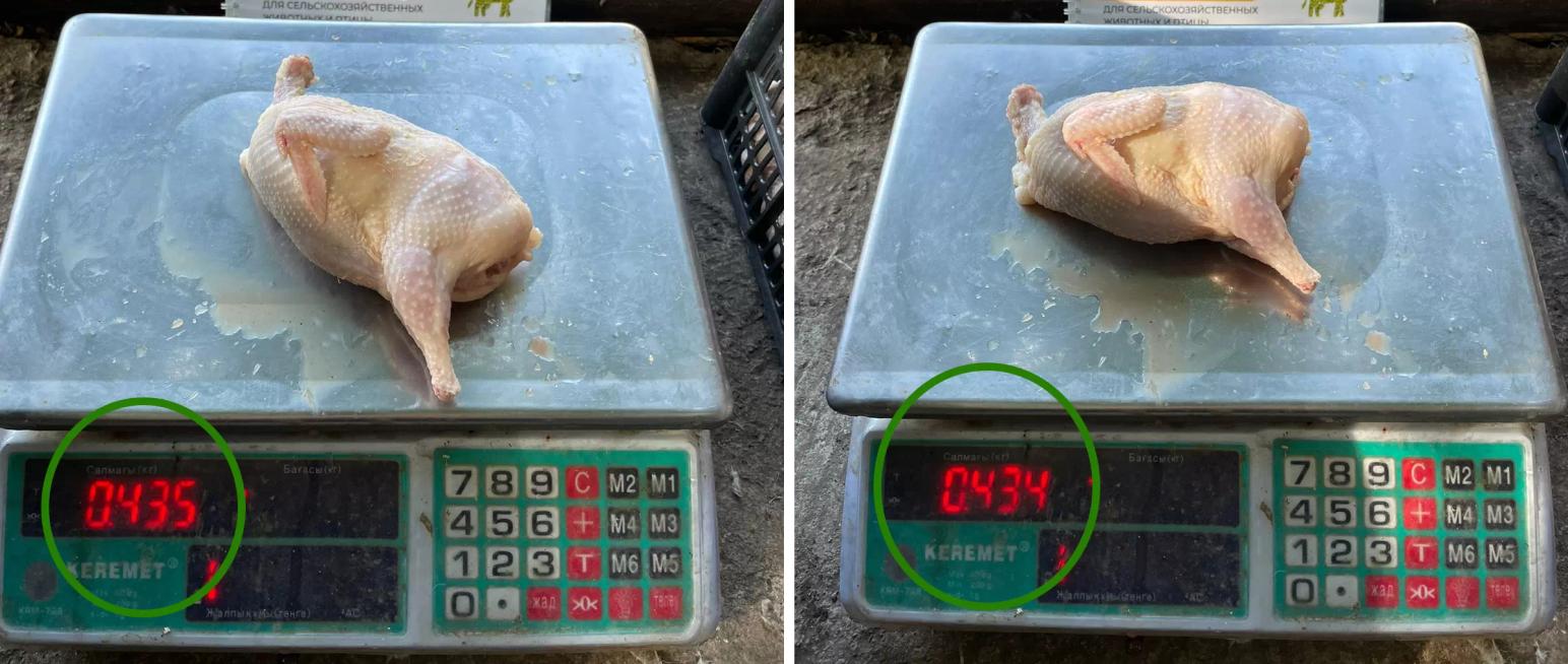 Наш постоянный клиент, перепелиная ферма, зафиксировал новый рекорд веса