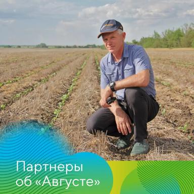 Партнеры об «Августе»