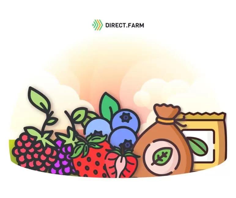 Удобрение насаждений малины и ежевики