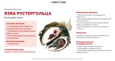 Язва Рустергольца