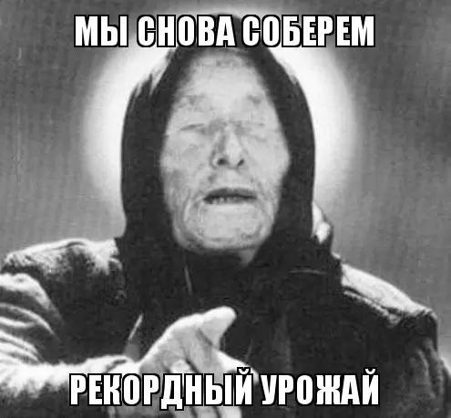 🌾 Аналитики повысили прогноз урожая пшеницы в 2023 году