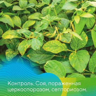 Фунгициды на сое