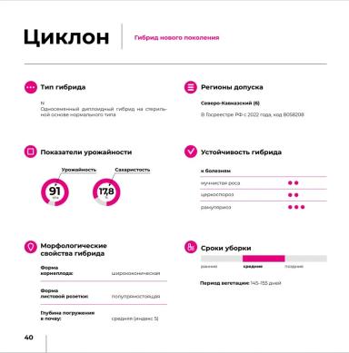 Циклон