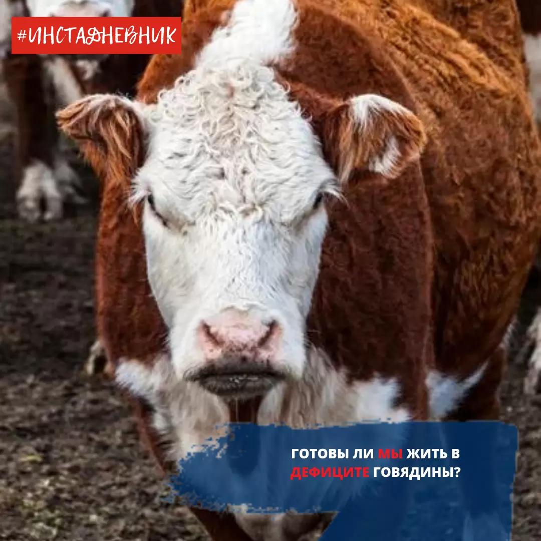 Готовы ли Мы  жить в дефиците говядины?