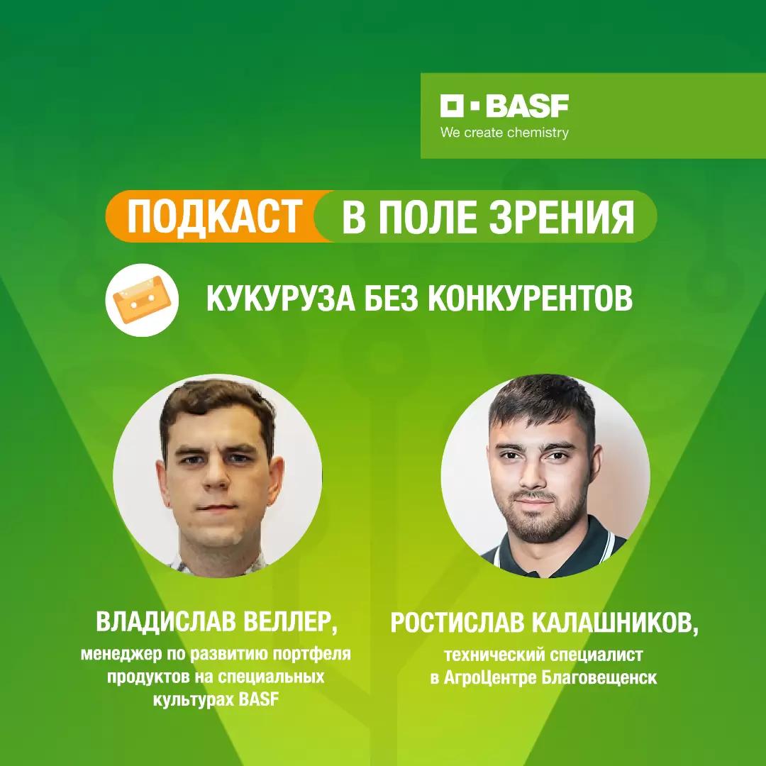 Подкаст «В поле зрения»: выпуск 21