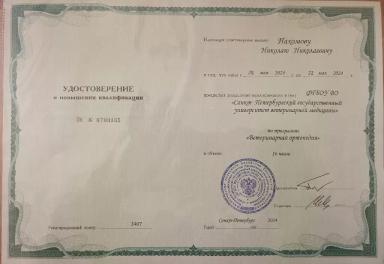 Повышение квалификации по программе "Ветеринарная ортопедия".
