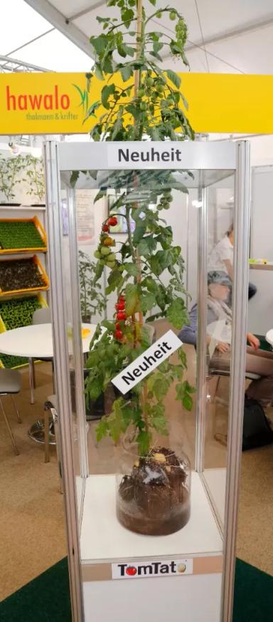 Интересные факты🕵‍♀