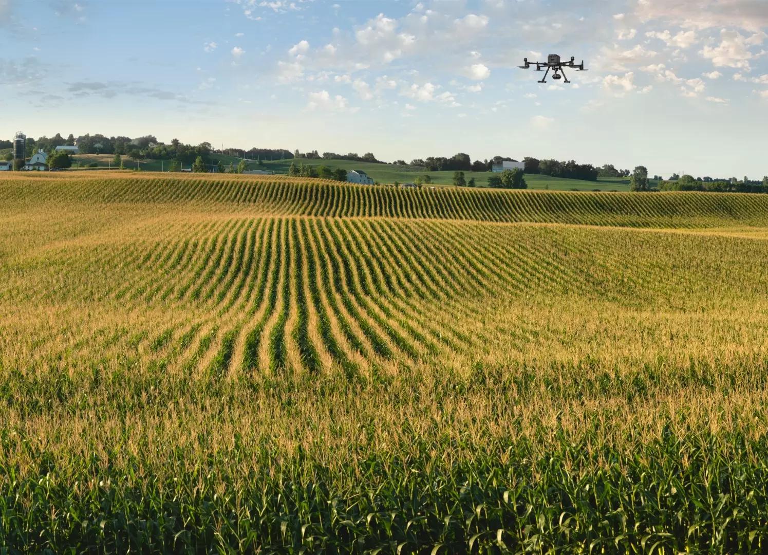 Высокоточный подсчет густоты стояния и высоты растений с помощью беспилотника