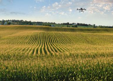 Высокоточный подсчет густоты стояния и высоты растений с помощью беспилотника