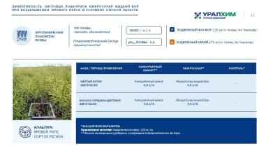 Жидкие удобрения МикроСолар Жидкий Бор и МикроСолар Жидкий Цинк. Опыты