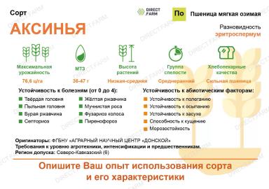 Аксинья ® сорт мягкой озимой пшеницы
