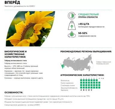 Вперёд - гибрид подсолнечника ( Helianthus annuus L.).