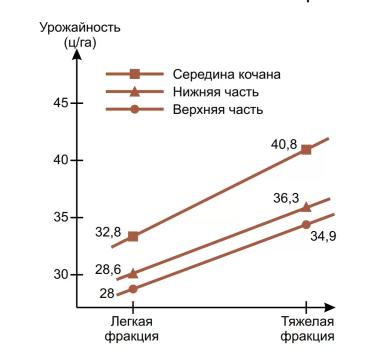 Сильные семена
