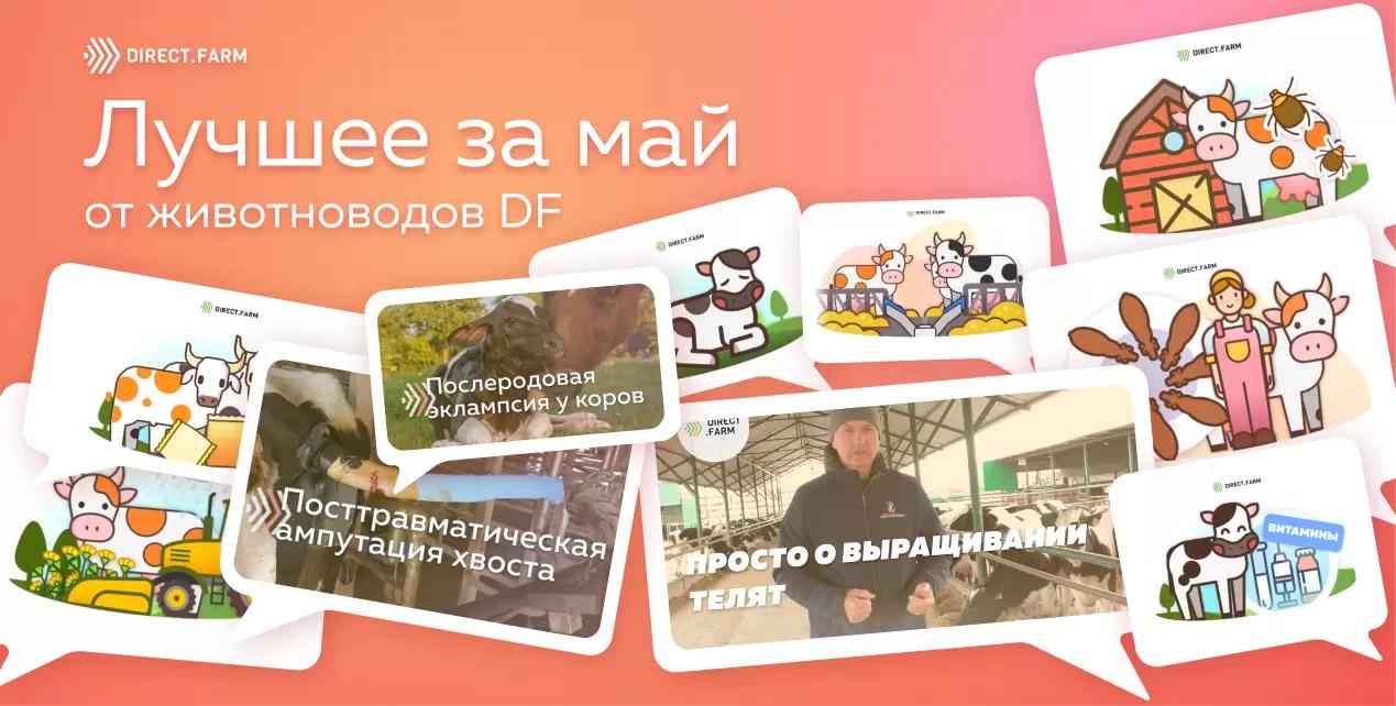 ТОП-10 статей от животноводов DF за май