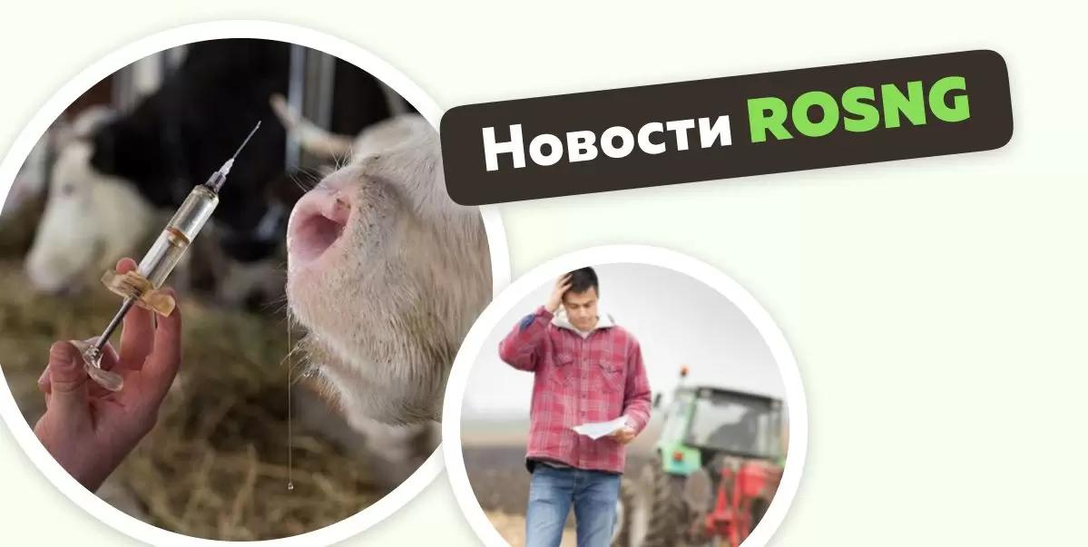 Обзор новостей за 10 октября