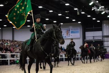 Кабардинская порода лошадей