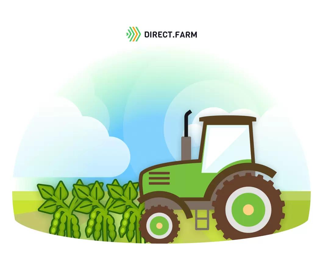 Есть ли преимущества у широкорядного посева сои?