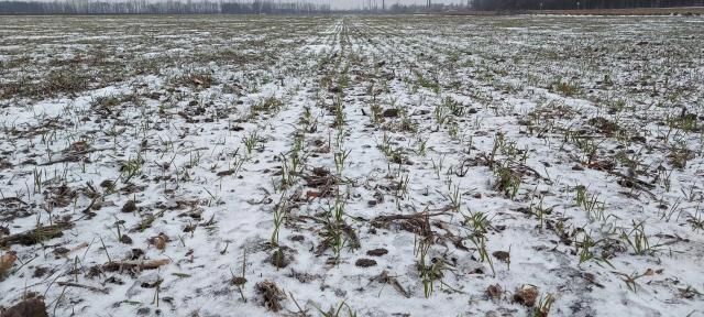 Уж полночь близится, а Германа всё нет...