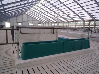 Улучшить производительность на четверть благодаря поилкам?🤔